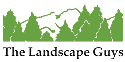 The Landscape Guys of Georgia Logo